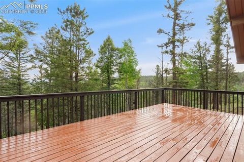 Tiny photo for 351 Porphry Road, Florissant, CO 80816 (MLS # 5053190)