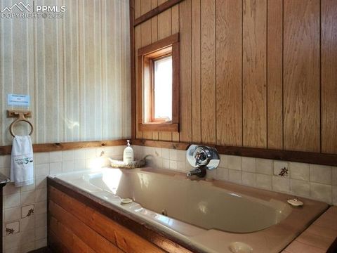Tiny photo for 351 Porphry Road, Florissant, CO 80816 (MLS # 5053190)