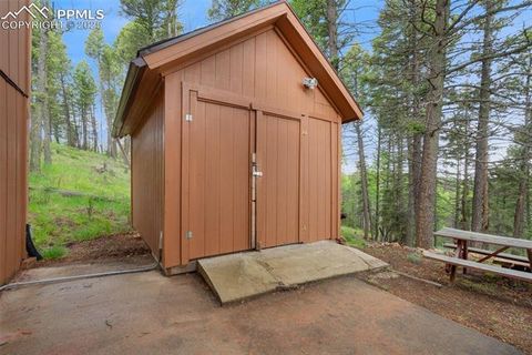 Tiny photo for 351 Porphry Road, Florissant, CO 80816 (MLS # 5053190)
