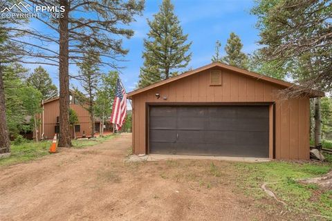 Tiny photo for 351 Porphry Road, Florissant, CO 80816 (MLS # 5053190)