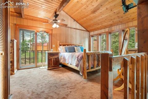 Tiny photo for 351 Porphry Road, Florissant, CO 80816 (MLS # 5053190)