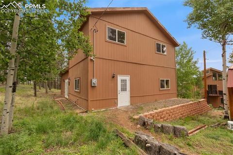 Tiny photo for 351 Porphry Road, Florissant, CO 80816 (MLS # 5053190)