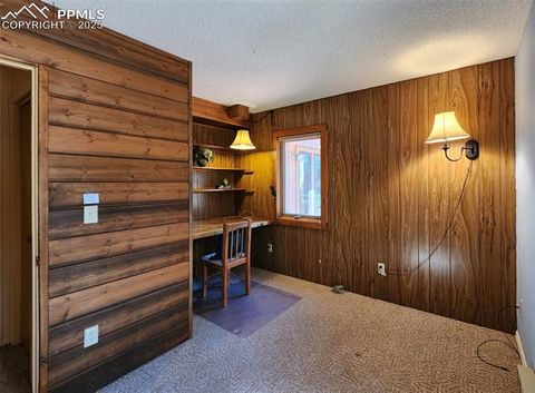 Tiny photo for 351 Porphry Road, Florissant, CO 80816 (MLS # 5053190)