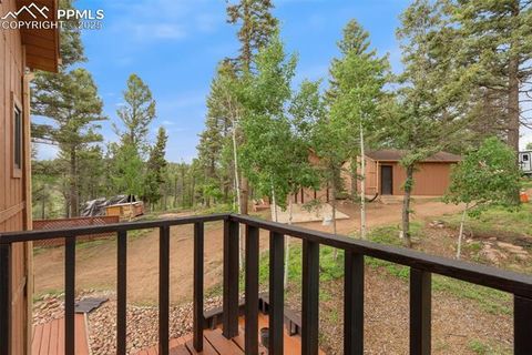Tiny photo for 351 Porphry Road, Florissant, CO 80816 (MLS # 5053190)