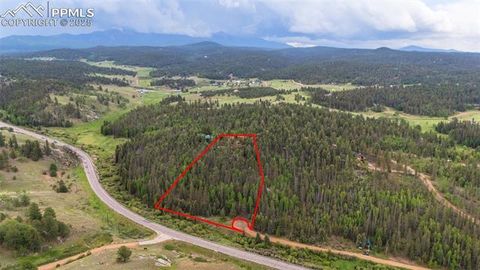 Tiny photo for 351 Porphry Road, Florissant, CO 80816 (MLS # 5053190)