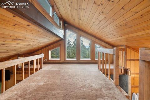 Tiny photo for 351 Porphry Road, Florissant, CO 80816 (MLS # 5053190)