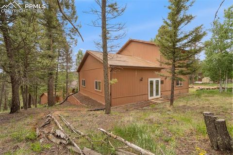 Tiny photo for 351 Porphry Road, Florissant, CO 80816 (MLS # 5053190)