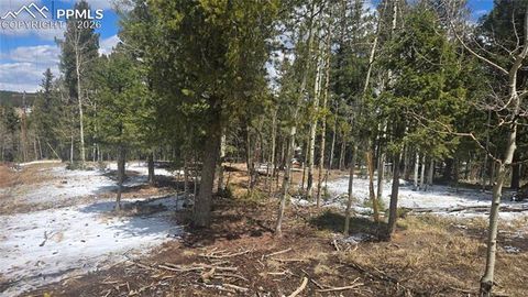 Photo of 144 Little Bear Peak Road, Florissant, CO 80816 (MLS # 4730205)