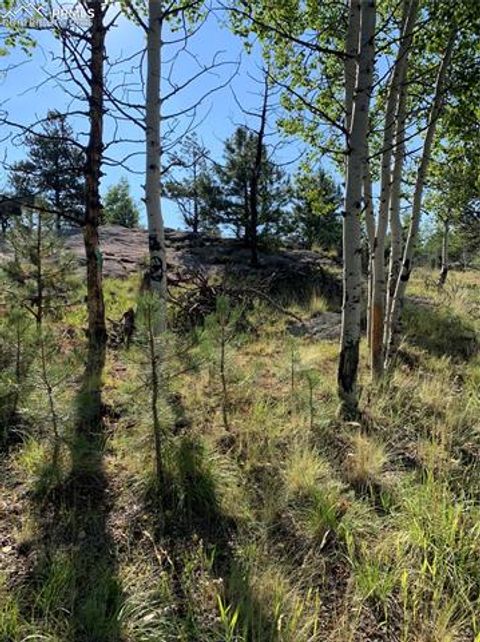 Tiny photo for 330 Arrowhead Drive, Florissant, CO 80816 (MLS # 9609650)