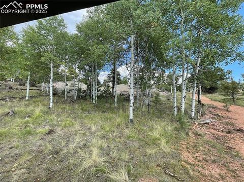 Tiny photo for 330 Arrowhead Drive, Florissant, CO 80816 (MLS # 9609650)
