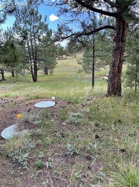 Tiny photo for 330 Arrowhead Drive, Florissant, CO 80816 (MLS # 9609650)