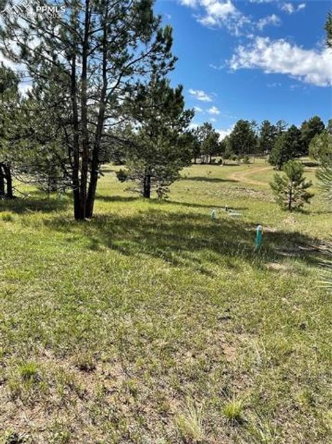 Tiny photo for 330 Arrowhead Drive, Florissant, CO 80816 (MLS # 9609650)