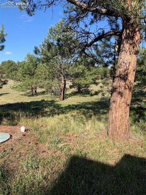 Tiny photo for 330 Arrowhead Drive, Florissant, CO 80816 (MLS # 9609650)