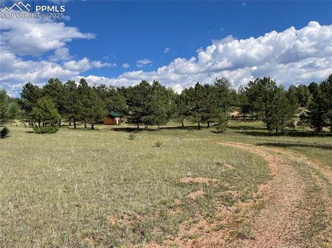 Tiny photo for 330 Arrowhead Drive, Florissant, CO 80816 (MLS # 9609650)