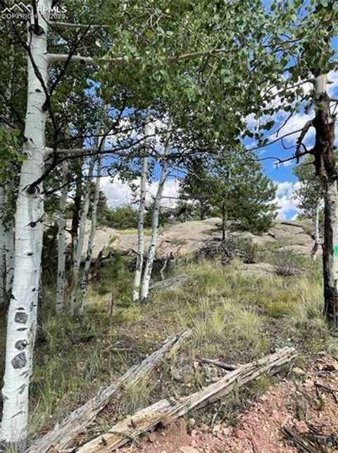 Tiny photo for 330 Arrowhead Drive, Florissant, CO 80816 (MLS # 9609650)