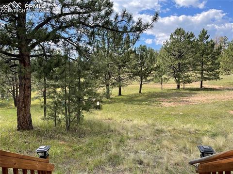 Tiny photo for 330 Arrowhead Drive, Florissant, CO 80816 (MLS # 9609650)