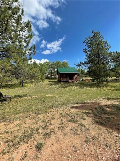 Tiny photo for 330 Arrowhead Drive, Florissant, CO 80816 (MLS # 9609650)