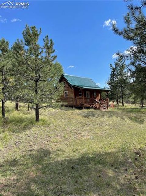 Tiny photo for 330 Arrowhead Drive, Florissant, CO 80816 (MLS # 9609650)