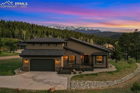 1115 Highlands Court Woodland Park CO 80863