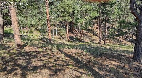 Photo of 54 Garnet Way, Florissant, CO 80816 (MLS # 7716520)