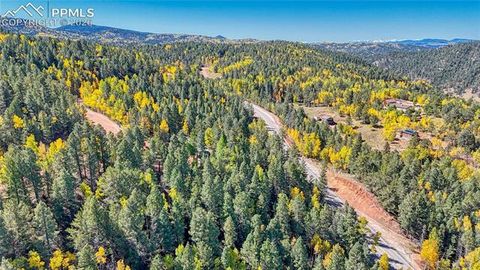 Photo of 959 Calcite Drive, Divide, CO 80814 (MLS # 5484402)