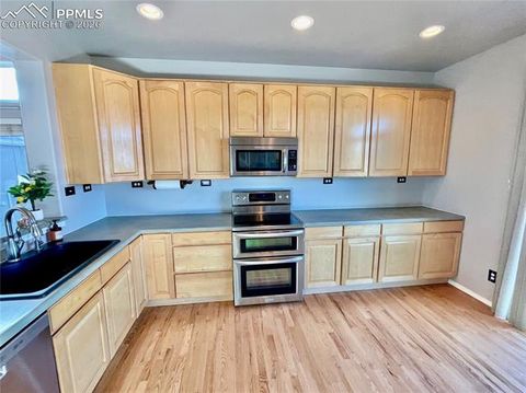 Tiny photo for 9375 Wolf Pack Terrace, Colorado Springs, CO 80920 (MLS # 5270423)