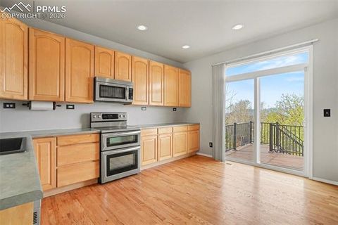 Tiny photo for 9375 Wolf Pack Terrace, Colorado Springs, CO 80920 (MLS # 5270423)