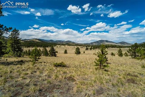 Photo of 128 Nancy Ann Arroyo, Guffey, CO 80820 (MLS # 9801665)