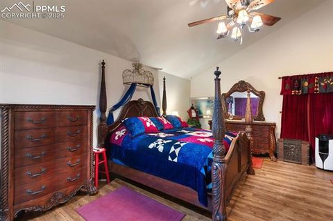 Tiny photo for 311 Panther Court, Woodland Park, CO 80863 (MLS # 9000211)