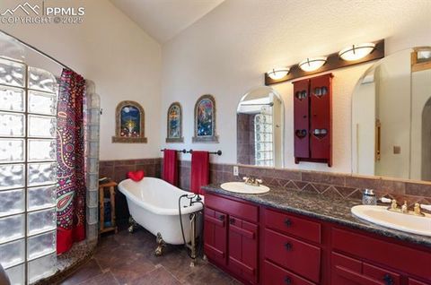 Tiny photo for 311 Panther Court, Woodland Park, CO 80863 (MLS # 9000211)
