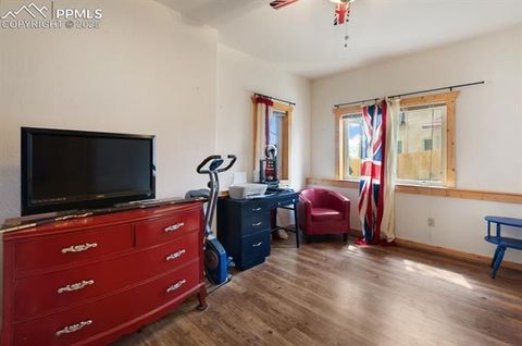 Tiny photo for 311 Panther Court, Woodland Park, CO 80863 (MLS # 9000211)