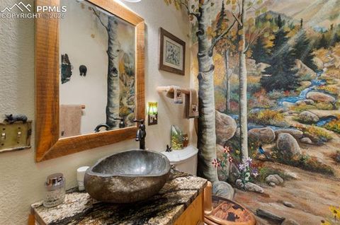 Tiny photo for 311 Panther Court, Woodland Park, CO 80863 (MLS # 9000211)