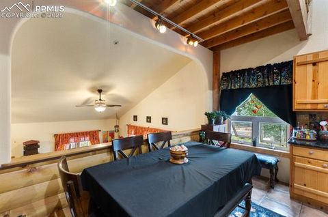 Tiny photo for 311 Panther Court, Woodland Park, CO 80863 (MLS # 9000211)