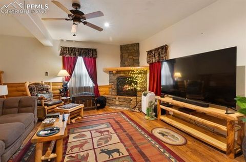 Tiny photo for 311 Panther Court, Woodland Park, CO 80863 (MLS # 9000211)