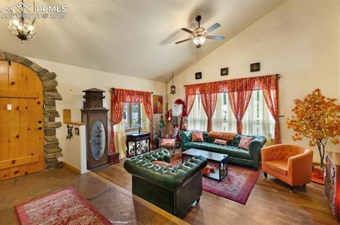 Tiny photo for 311 Panther Court, Woodland Park, CO 80863 (MLS # 9000211)