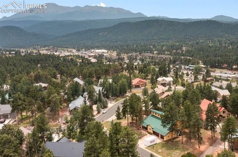 Tiny photo for 311 Panther Court, Woodland Park, CO 80863 (MLS # 9000211)