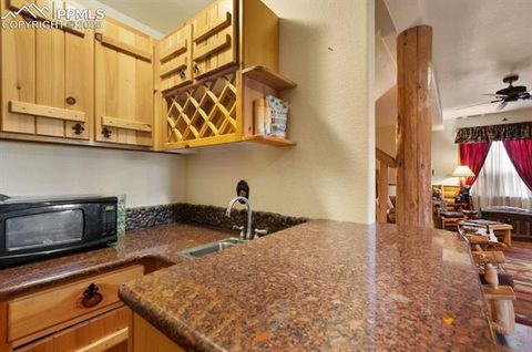 Tiny photo for 311 Panther Court, Woodland Park, CO 80863 (MLS # 9000211)