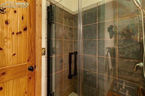 Tiny photo for 311 Panther Court, Woodland Park, CO 80863 (MLS # 9000211)