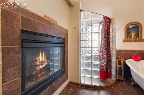 Tiny photo for 311 Panther Court, Woodland Park, CO 80863 (MLS # 9000211)