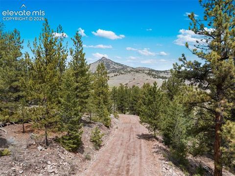 Tiny photo for 11396 County Road 102, Guffey, CO 80820 (MLS # 7543608)