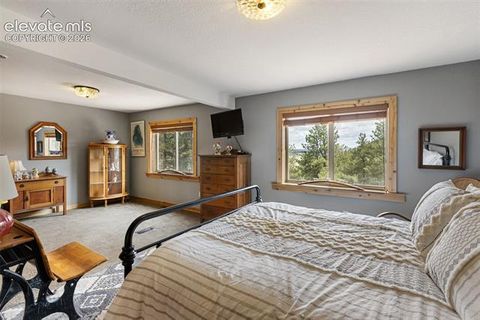 Tiny photo for 11396 County Road 102, Guffey, CO 80820 (MLS # 7543608)