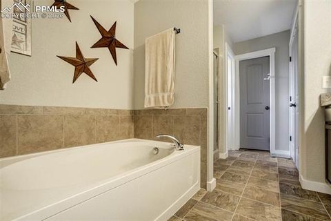 Tiny photo for 3812 Chia Drive, Colorado Springs, CO 80925 (MLS # 1732269)