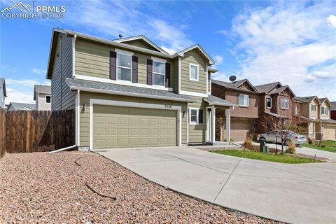 Photo of 7350 Axis Point, Colorado Springs, CO 80922 (MLS # 4582387)