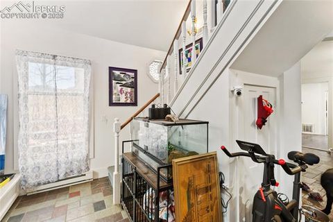 Tiny photo for 349 S First Street, Cripple Creek, CO 80813 (MLS # 2799968)