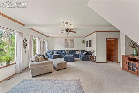 Tiny photo for 510 Banner Trail, Florissant, CO 80816 (MLS # 1889166)