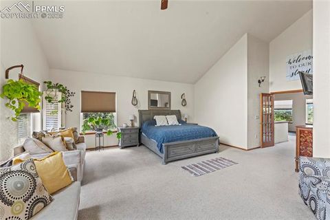 Tiny photo for 510 Banner Trail, Florissant, CO 80816 (MLS # 1889166)