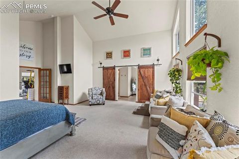 Tiny photo for 510 Banner Trail, Florissant, CO 80816 (MLS # 1889166)