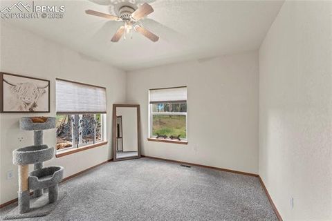 Tiny photo for 510 Banner Trail, Florissant, CO 80816 (MLS # 1889166)