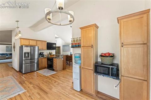 Tiny photo for 510 Banner Trail, Florissant, CO 80816 (MLS # 1889166)