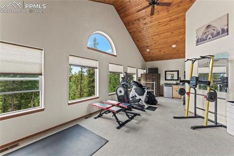 Tiny photo for 510 Banner Trail, Florissant, CO 80816 (MLS # 1889166)